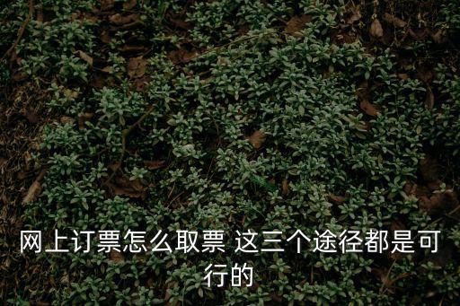 網(wǎng)上訂票怎么取票 這三個(gè)途徑都是可行的