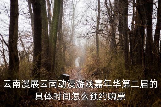 云南漫展云南動漫游戲嘉年華第二屆的具體時間怎么預約購票