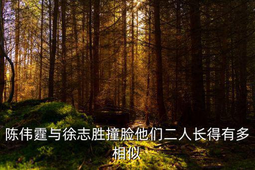 徐智勝，脫口秀大會徐志勝為什么這么受歡迎