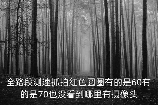全路段抓拍標志，全路段測速抓拍紅色圓圈有的是60有的是70也沒看到哪里有攝像頭