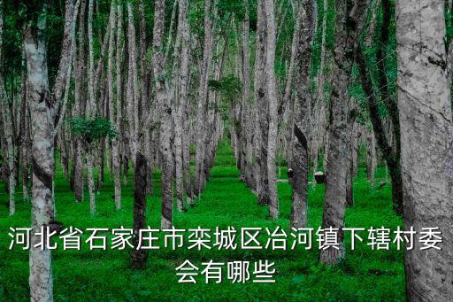 石家莊市欒城區(qū)，2022年欒城區(qū)蘇邱村征不了地搬不了遷是怎么回事