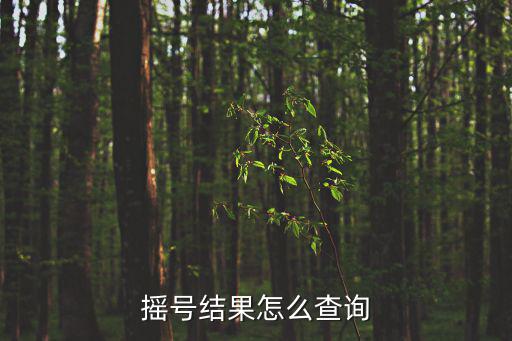 搖號結果查詢，怎么查搖號結果