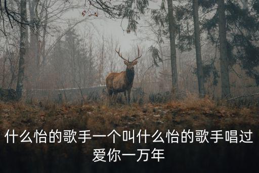 什么怡的歌手一個叫什么怡的歌手唱過愛你一萬年