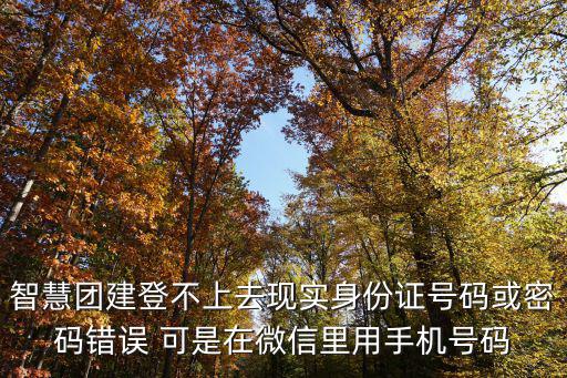 智慧團(tuán)建手機(jī)登錄，智慧團(tuán)建可以用瀏覽器登嗎