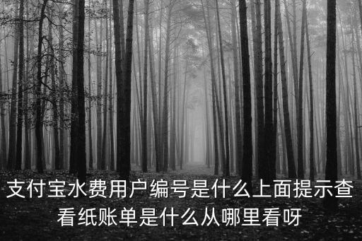 支付寶水費用戶編號是什么上面提示查看紙賬單是什么從哪里看呀