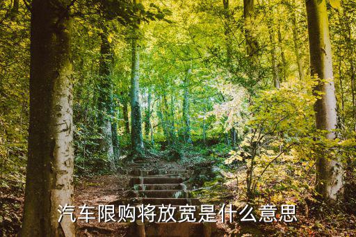 汽車限購將放寬是什么意思