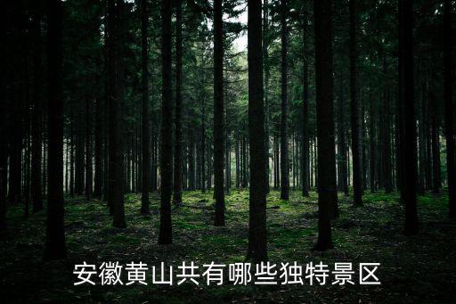 安徽黃山共有哪些獨特景區