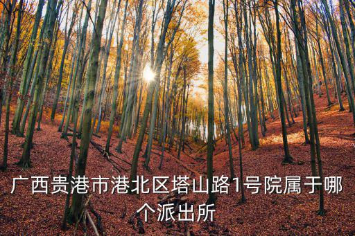 塔山路，塔山路455弄屬于哪個居委會