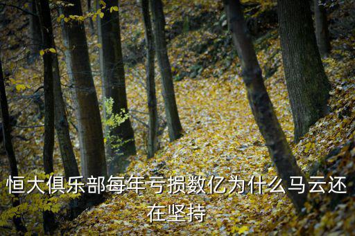 恒大俱樂部，廣東恒大俱樂部女排主場地址在哪里啊