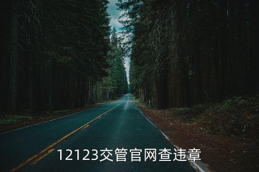 12123交管官網查違章