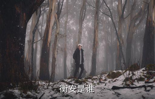 衡安是誰