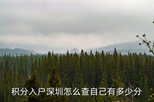 深圳積分入戶(hù)查詢(xún)，深圳怎么查詢(xún)個(gè)人積分