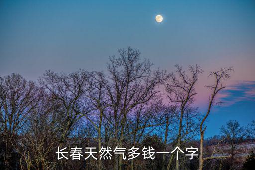 長春天然氣多錢一個字