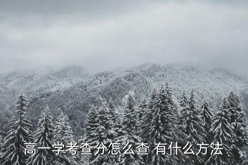 高一學考查分怎么查 有什么方法