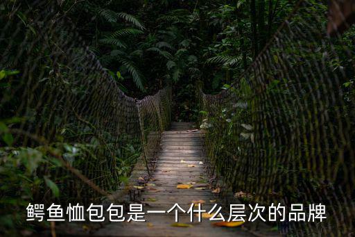 鱷魚恤包包是一個什么層次的品牌