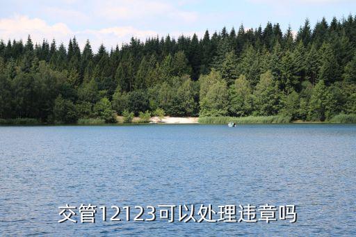 交管12123可以處理違章嗎