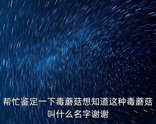 幫忙鑒定一下毒蘑菇想知道這種毒蘑菇叫什么名字謝謝