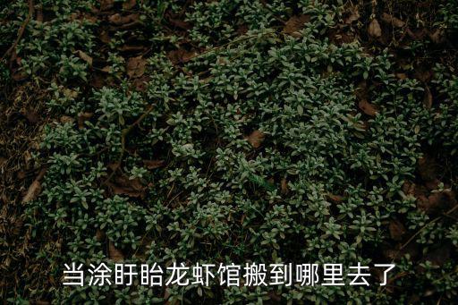 當(dāng)涂盱眙龍蝦館搬到哪里去了