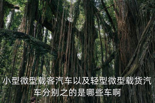 小型微型載客汽車以及輕型微型載貨汽車分別之的是哪些車啊