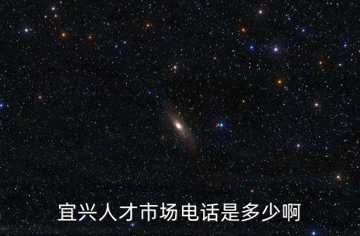 宜興人才市場電話是多少啊