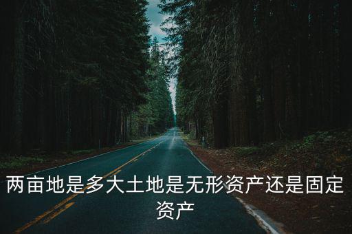 兩畝地是多大土地是無形資產還是固定資產