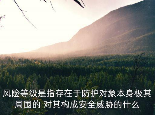 風險等級是指存在于防護對象本身極其周圍的 對其構(gòu)成安全威脅的什么
