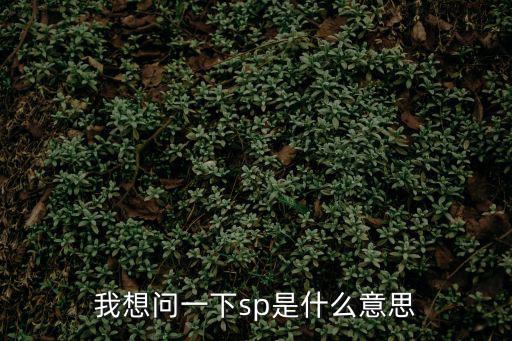 我想問一下sp是什么意思