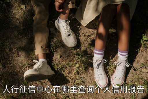 人行征信中心，人行征信中心個人查詢