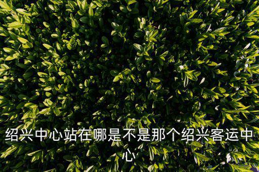 紹興中心站在哪是不是那個紹興客運中心