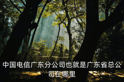 中國電信廣東分公司也就是廣東省總公司在哪里