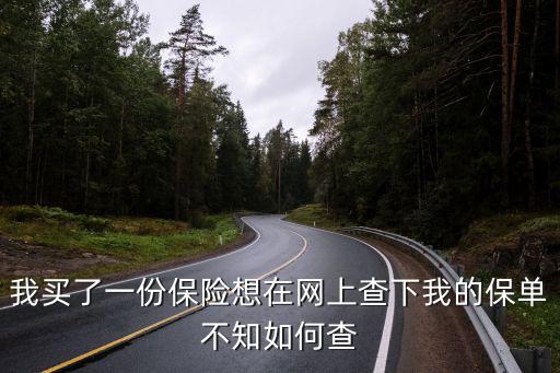 我買了一份保險想在網上查下我的保單不知如何查