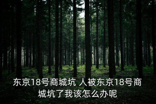 東京18號商城坑 人被東京18號商城坑了我該怎么辦呢