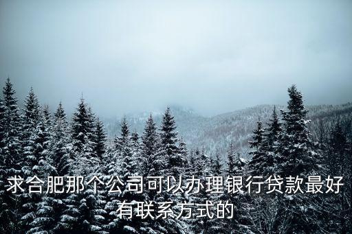 求合肥那個公司可以辦理銀行貸款最好有聯系方式的