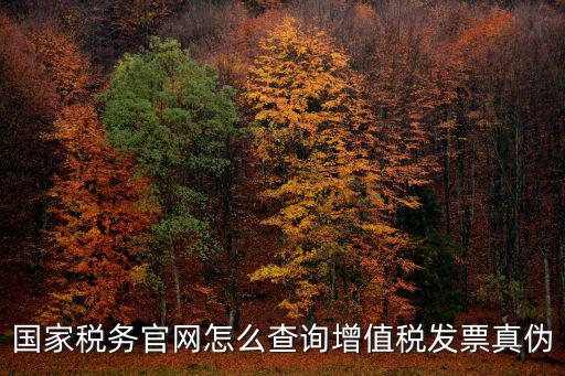 國家稅務(wù)官網(wǎng)怎么查詢增值稅發(fā)票真?zhèn)? class=