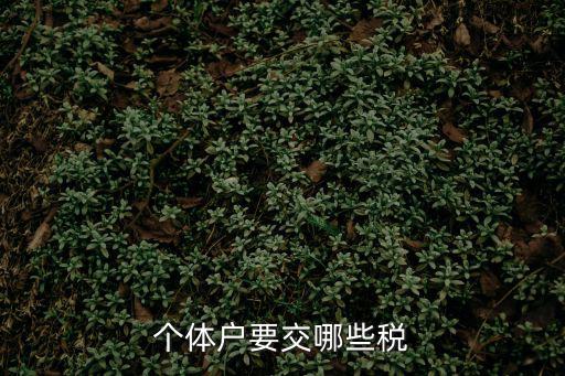 個體戶要交哪些稅