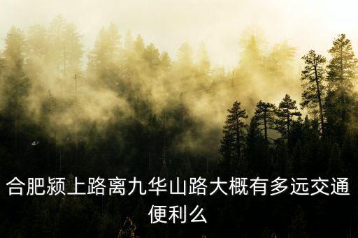 合肥潁上路離九華山路大概有多遠交通便利么