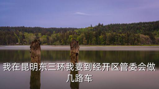 經(jīng)開區(qū)管委會(huì)，我在昆明東三環(huán)我要到經(jīng)開區(qū)管委會(huì)做幾路車