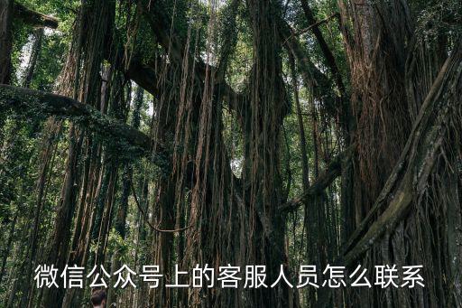 微信公眾號上的客服人員怎么聯(lián)系