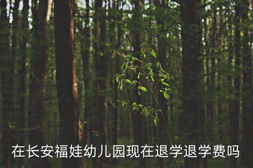 福娃幼兒園，株洲市福娃幼稚園怎么樣