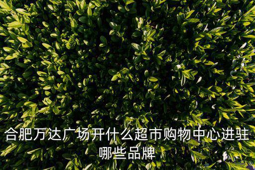 合肥萬達廣場開什么超市購物中心進駐哪些品牌