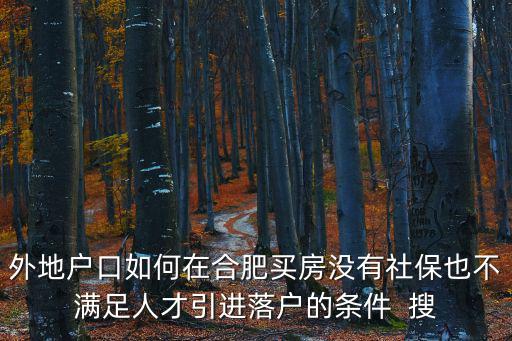 外地戶口如何在合肥買房沒有社保也不滿足人才引進落戶的條件  搜