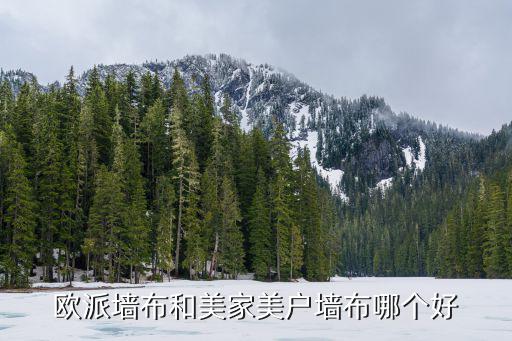 歐派墻布和美家美戶墻布哪個(gè)好