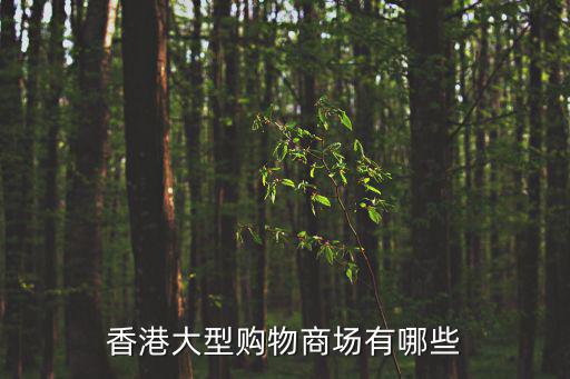 香港大型購(gòu)物商場(chǎng)有哪些