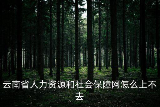 云南省人力資源和社會(huì)保障網(wǎng)怎么上不去