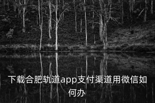 下載合肥軌道app支付渠道用微信如何辦