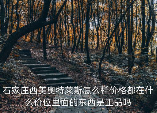 石家莊西美奧特萊斯怎么樣價格都在什么價位里面的東西是正品嗎