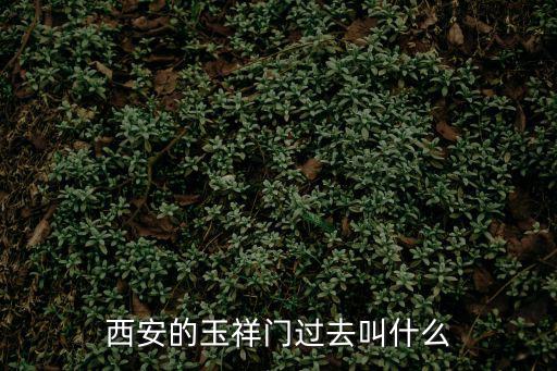 西安玉祥門，西安玉祥門小竹林在哪