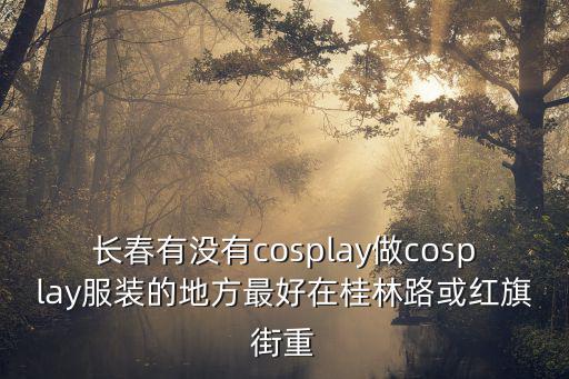 長春有沒有cosplay做cosplay服裝的地方最好在桂林路或紅旗街重