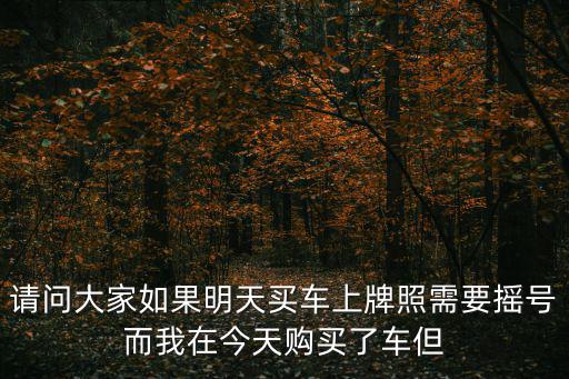請問大家如果明天買車上牌照需要搖號而我在今天購買了車但