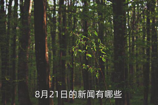 8月21日的新聞?dòng)心男? class=